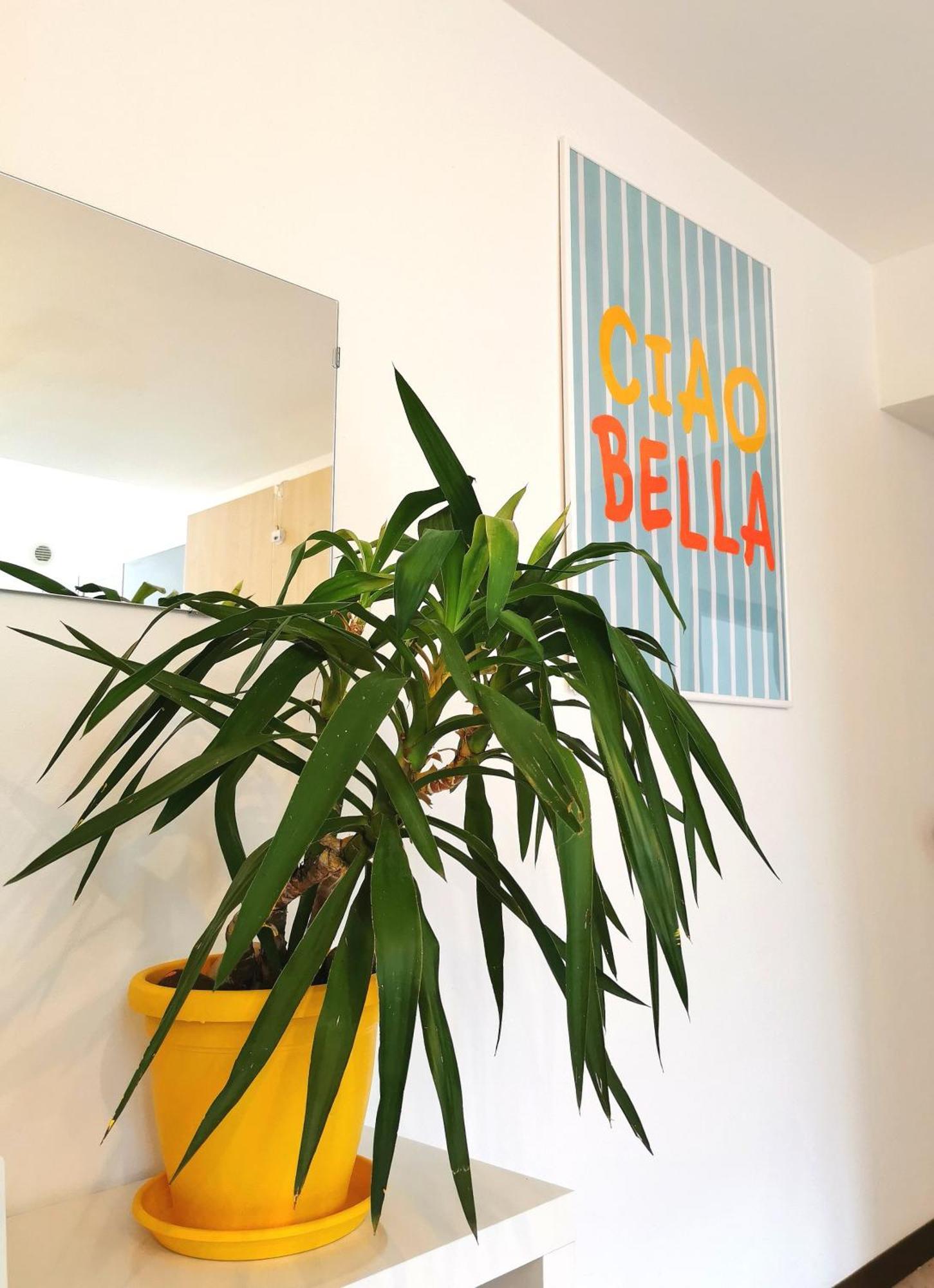 Old Town Apartment With Terrace - Live Love Lake Peschiera del Garda Eksteriør bilde